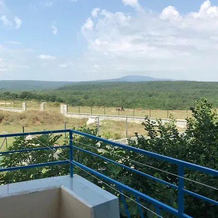 Family 2* Sinemoretz